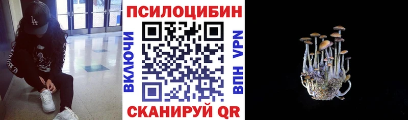 где купить   ОМГ ОМГ ССЫЛКА  Псилоцибиновые грибы Cubensis  Лобня 